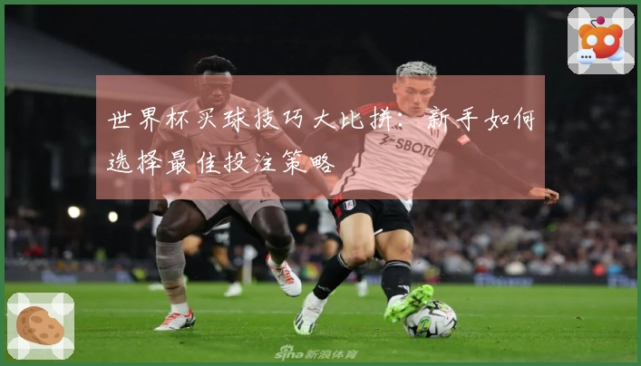 世界杯买球技巧大比拼：新手如何选择最佳投注策略