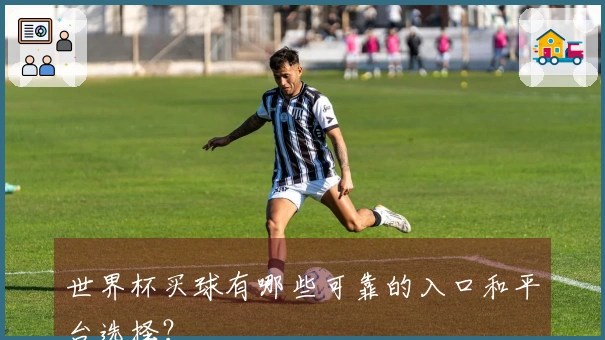 世界杯买球有哪些可靠的入口和平台选择？