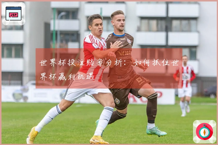 世界杯投注赔率分析：如何抓住世界杯赢利机遇
