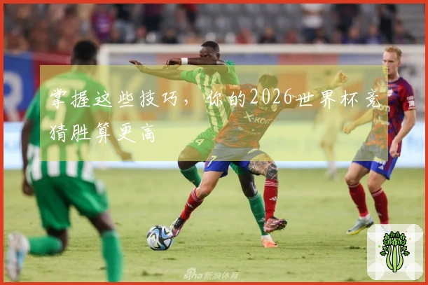 掌握这些技巧，你的2026世界杯竞猜胜算更高