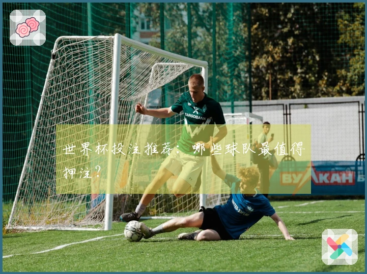 世界杯投注推荐：哪些球队最值得押注？