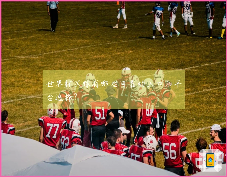 世界杯买球有哪些可靠的入口和平台选择？